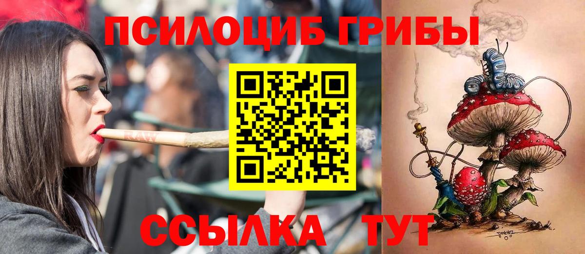 Галлюциногенные грибы Psilocybine cubensis  Вход с VPN  Новосибирск 