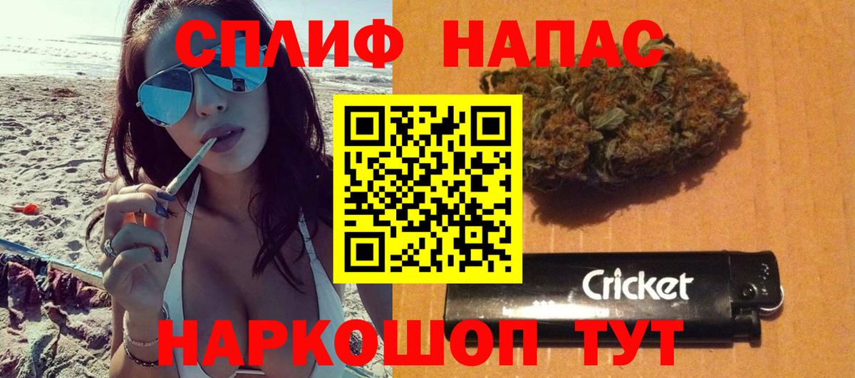Конопля сатива Новосибирск
